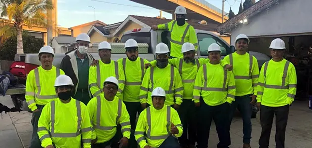 Tree Service Miami